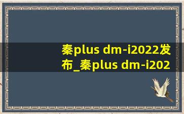 秦plus dm-i2022发布_秦plus dm-i2025年新款